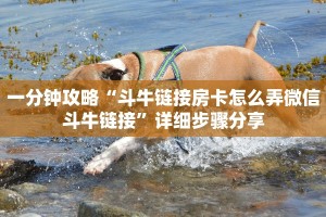 一分钟攻略“斗牛链接房卡怎么弄微信斗牛链接”详细步骤分享