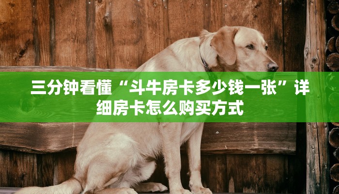 三分钟看懂“斗牛房卡多少钱一张”详细房卡怎么购买方式